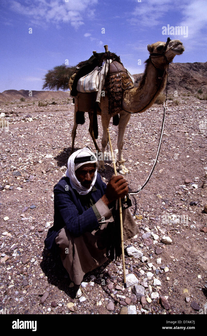 Nomades bédouins membre de la tribu Zawaideh, originaire de les déserts du sud de la Jordanie et de l'ouest de l'Arabie saoudite avec son chameau dans le désert de Wadi Rum connu aussi sous le nom de la vallée de la lune, dans le sud de la Jordanie Banque D'Images