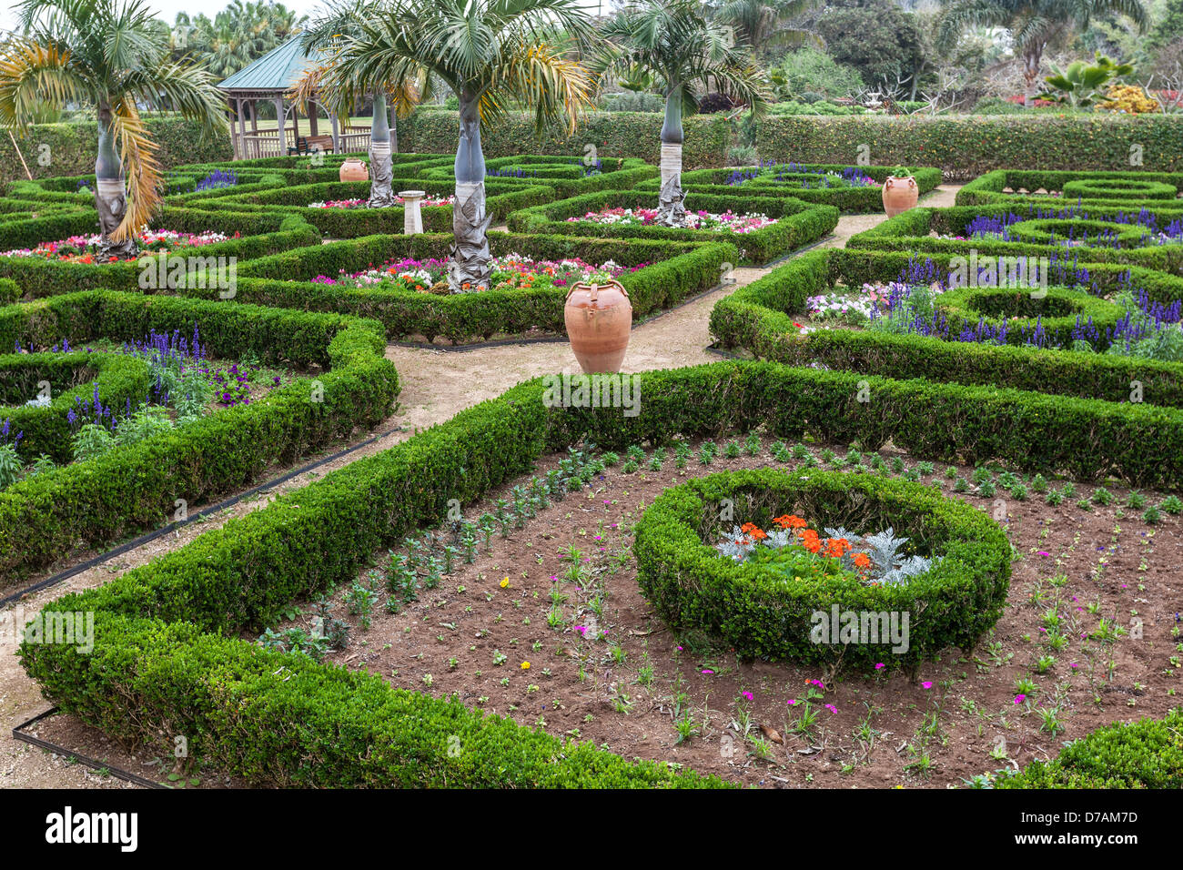 Les grands planteurs de l'argile et des haies de buis taillés font partie des jardins dans le jardin botanique des Bermudes. Banque D'Images