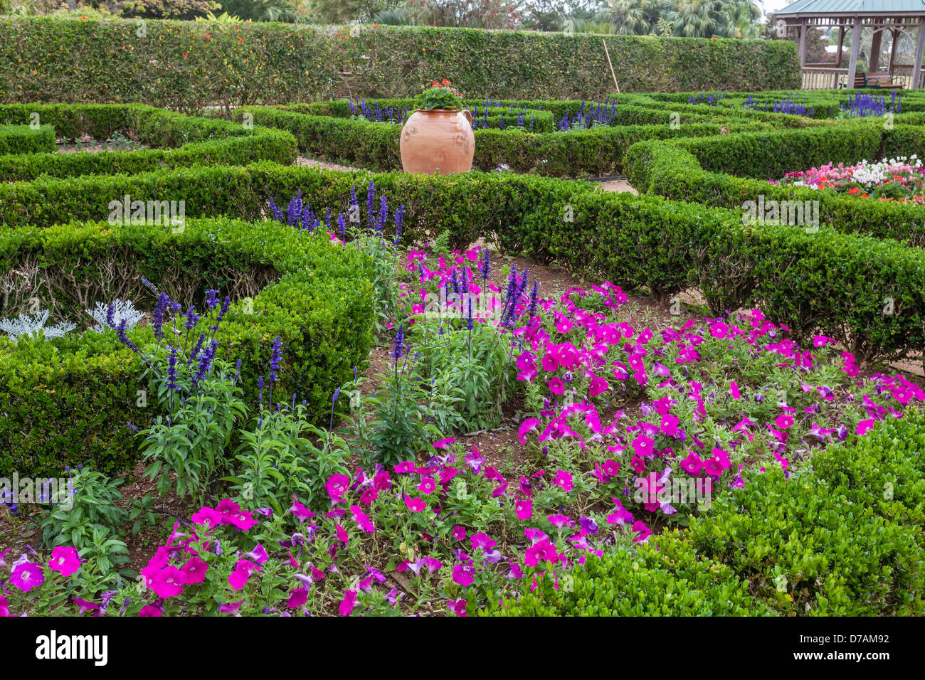 Les grands planteurs de l'argile et des haies de buis taillés font partie des jardins dans le jardin botanique des Bermudes. Banque D'Images