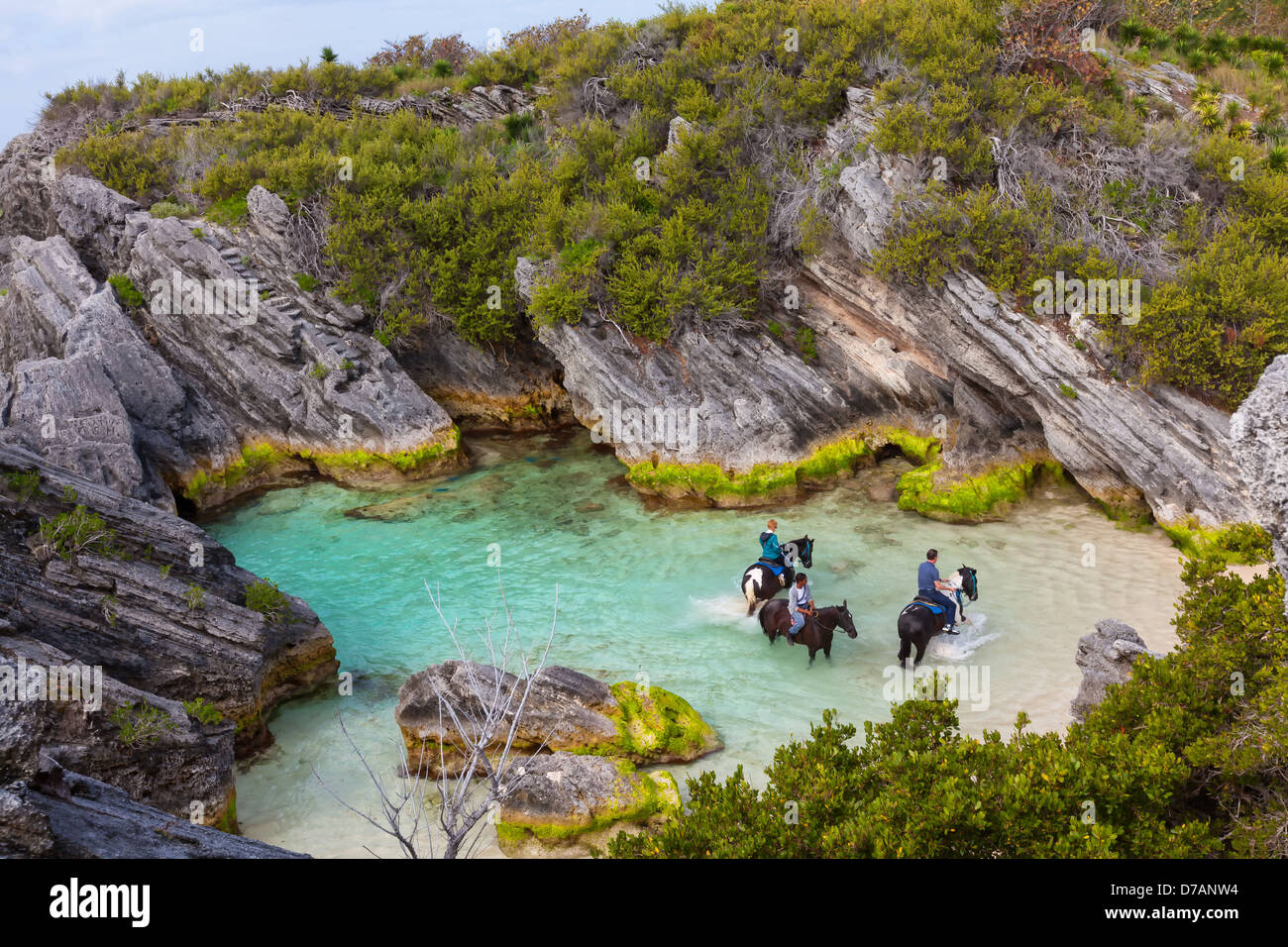 Chevaux et cavaliers dans Jobson Cove, sur la rive-sud des Bermudes. Banque D'Images