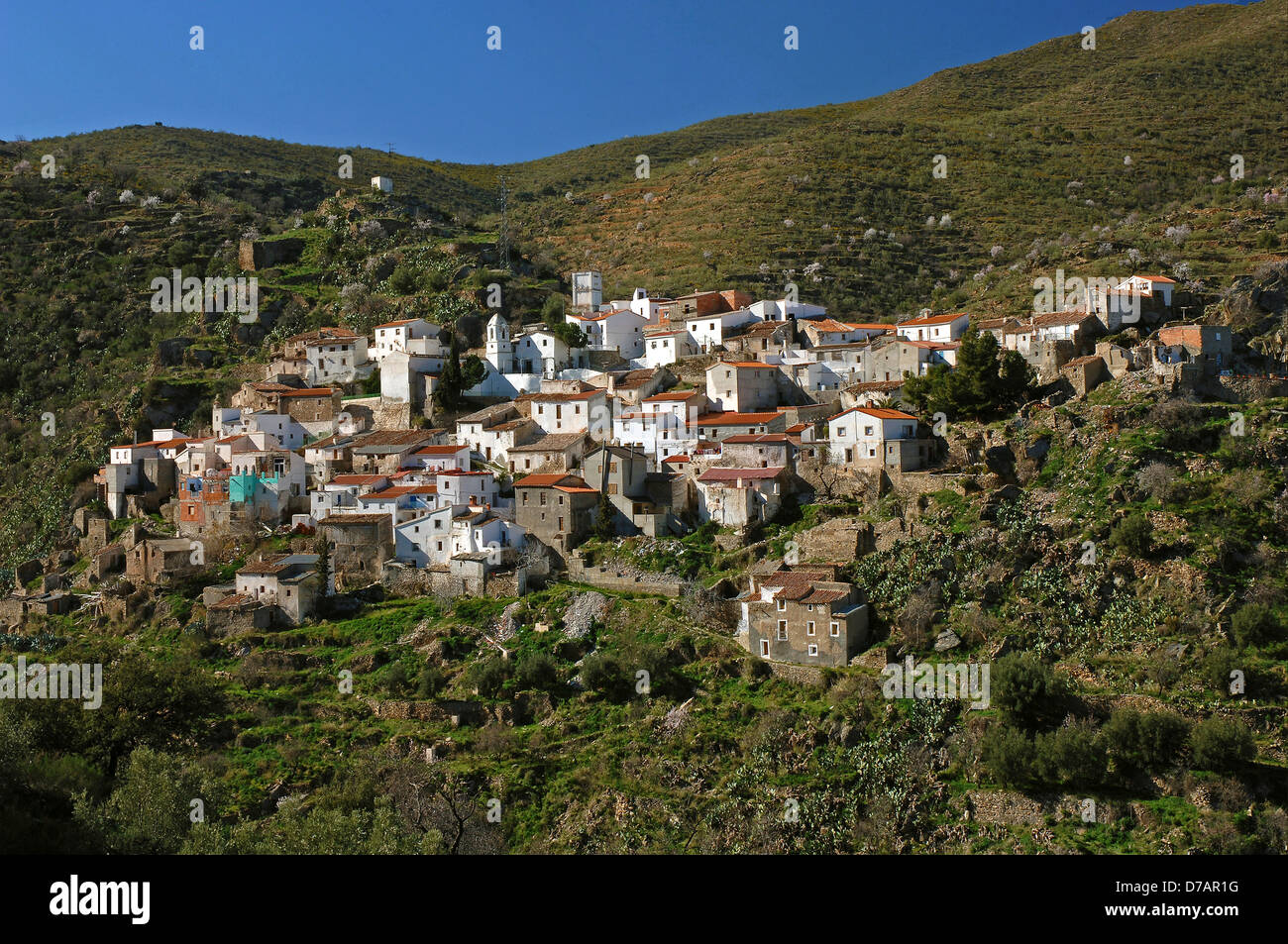 Vue panoramique, Chercos Viejo, Almeria la province, région d'Andalousie, Espagne, Europe Banque D'Images
