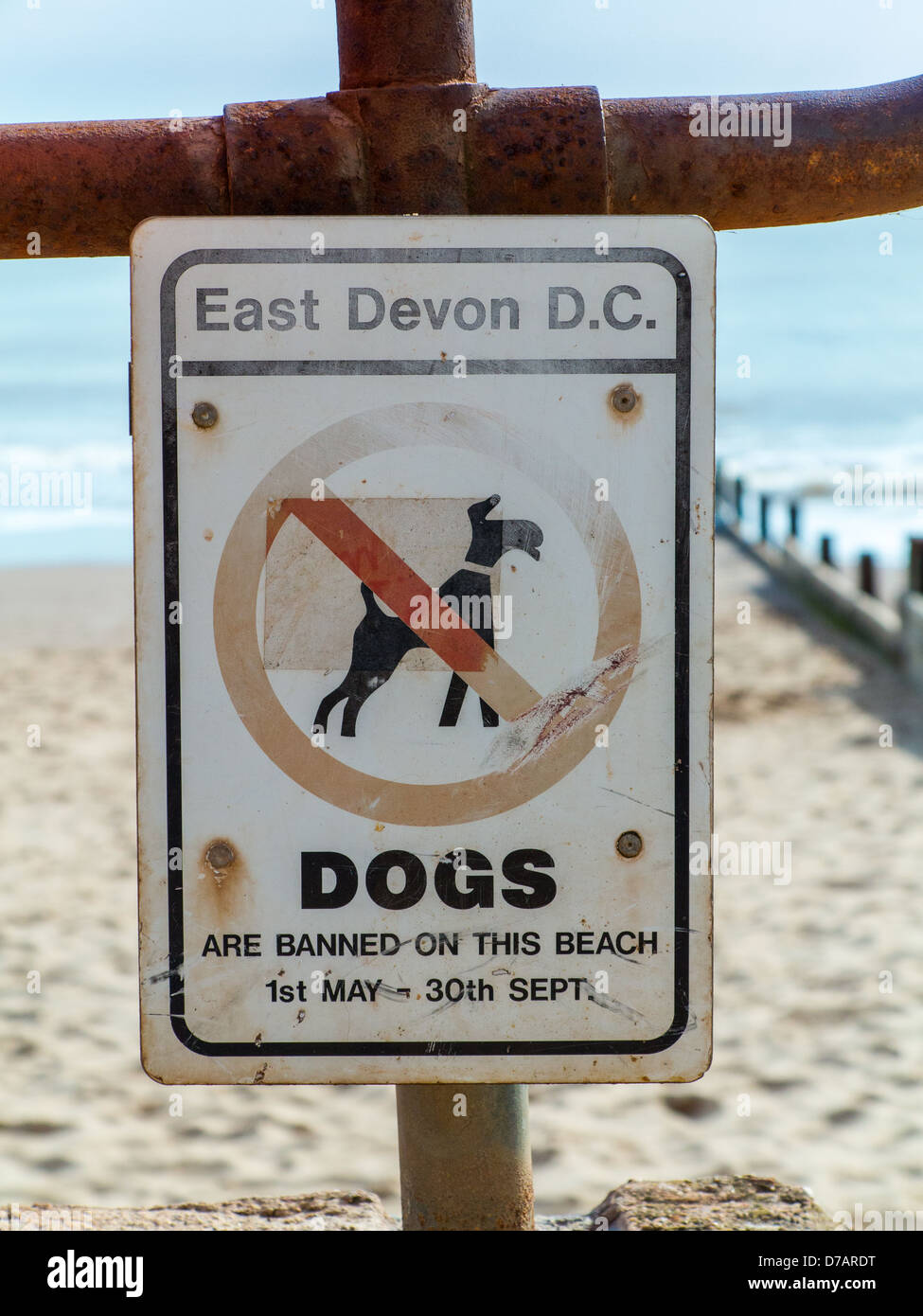Chiens interdit de ce panneau indiquant la plage de dates sur la plage d'Exmouth, Devon, Angleterre Banque D'Images