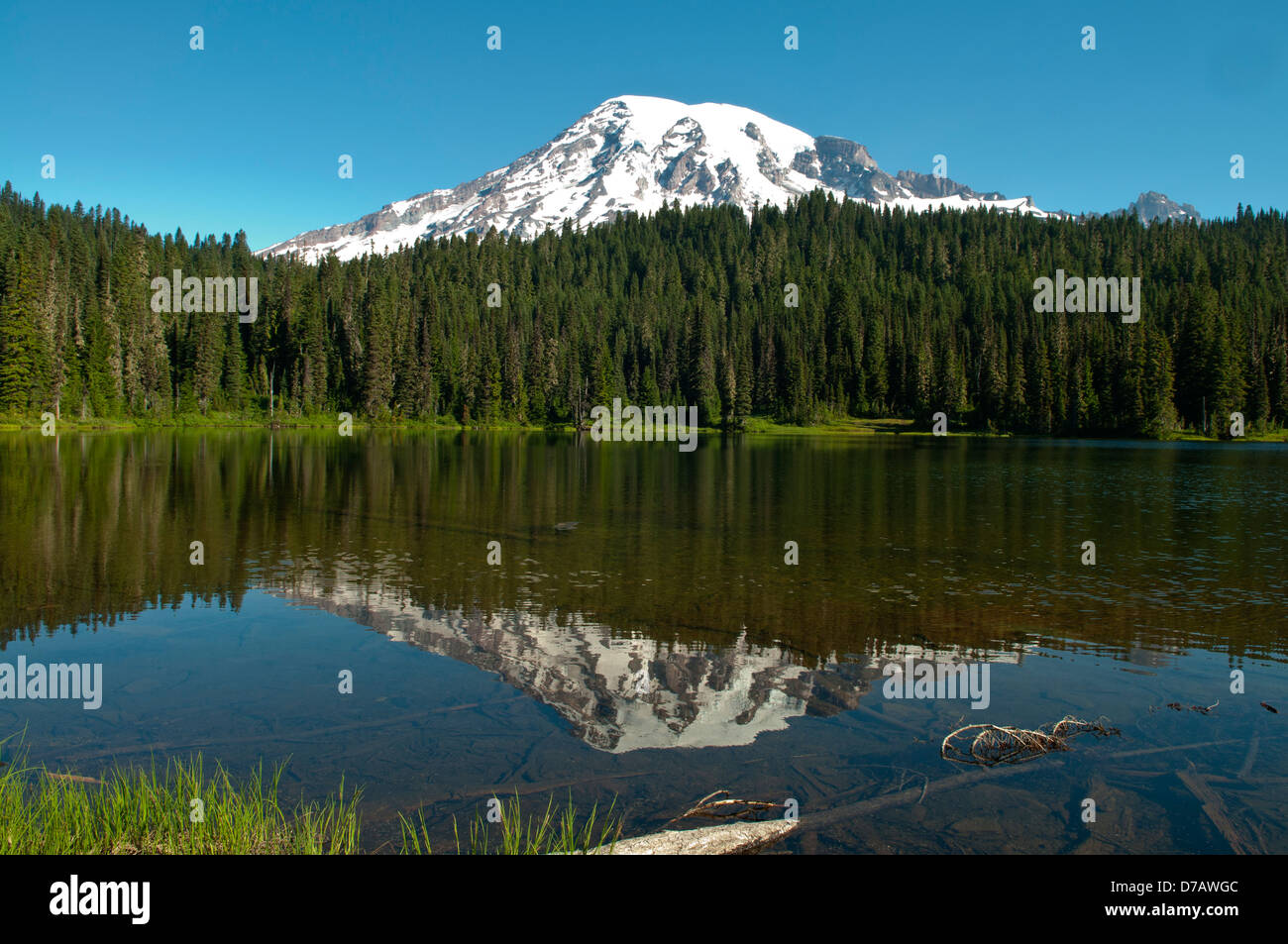 Mt Rainier et de réflexion Lake, Mt Rainier NP, Washington, USA Banque D'Images