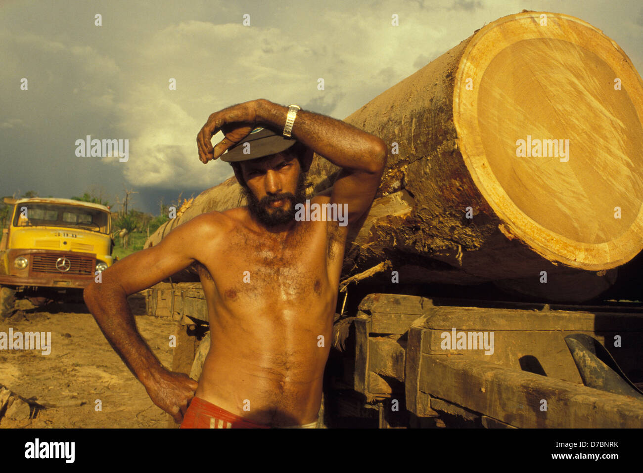 Forêt amazonienne, au Brésil. L'industrie forestière. Transport de bois. Banque D'Images