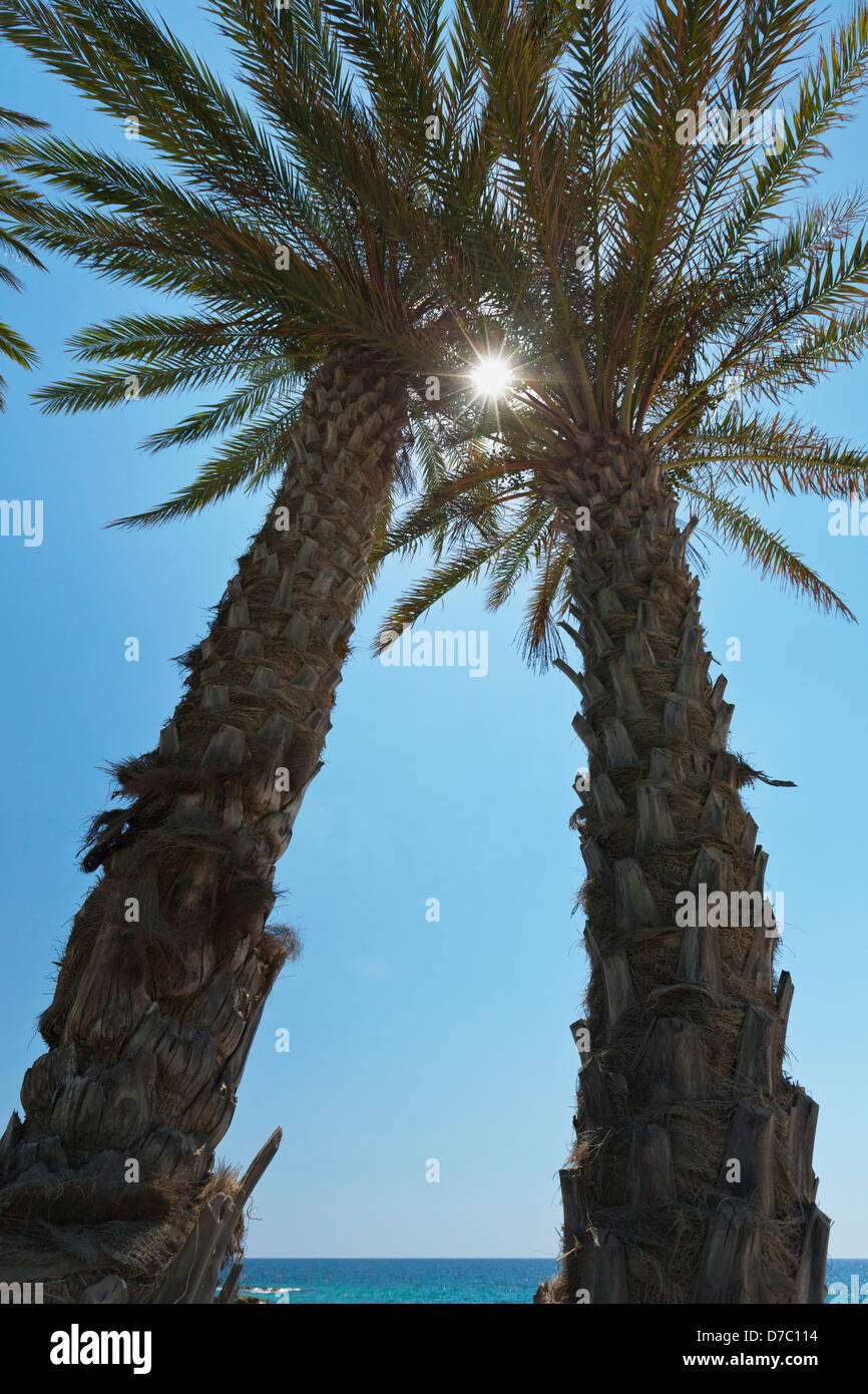 Brillant lumière du soleil à travers les branches de deux arbres au bord de l'eau contre un ciel bleu;Paphos Chypre Banque D'Images