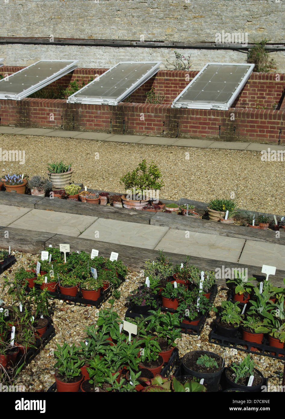 Des plantes et des boutures prêt à être planté, potager, Boughton House Banque D'Images