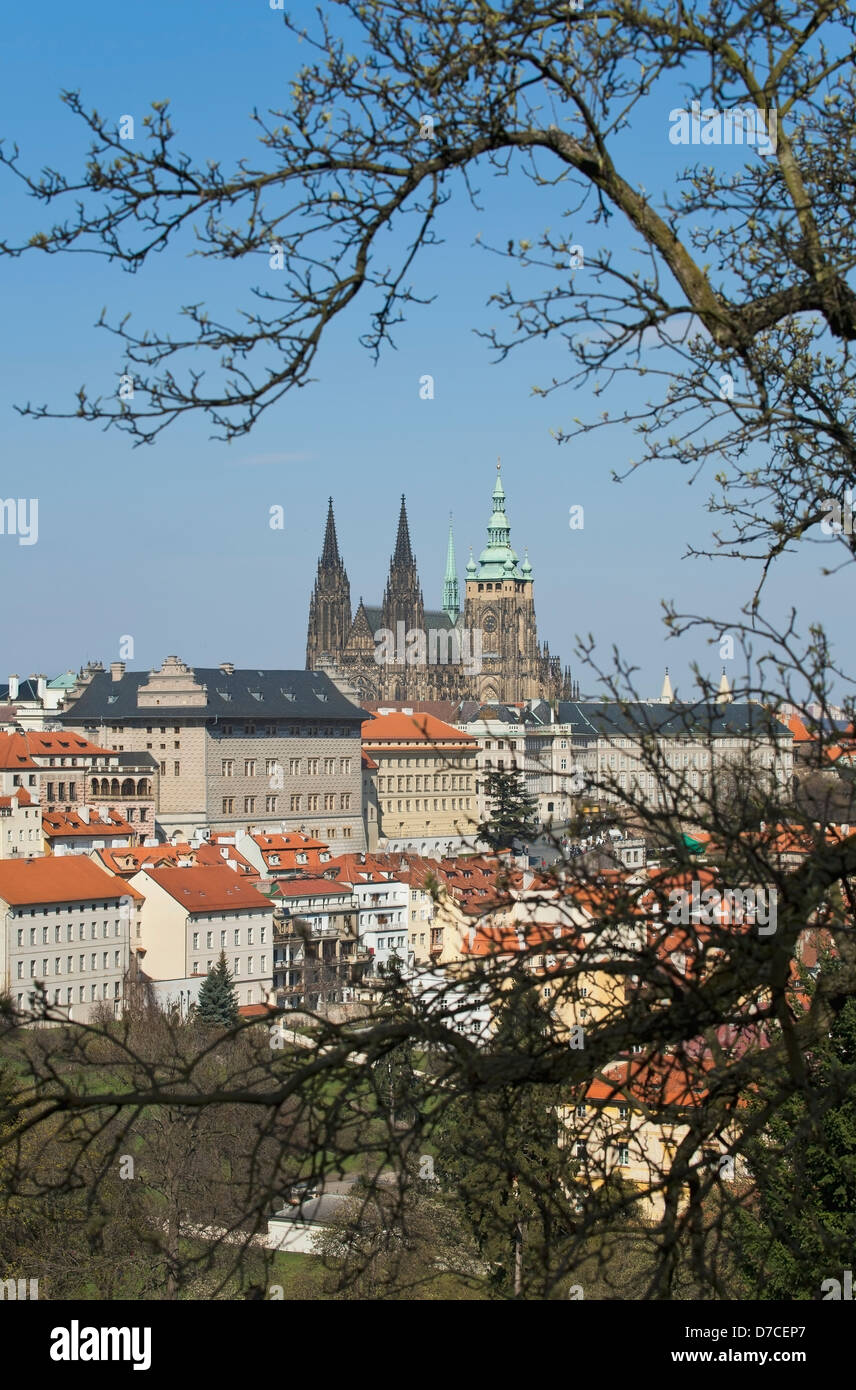 Skyline et les bâtiments contre un ciel bleu avec un arbre en premier plan;Prague Praha République Tchèque Banque D'Images