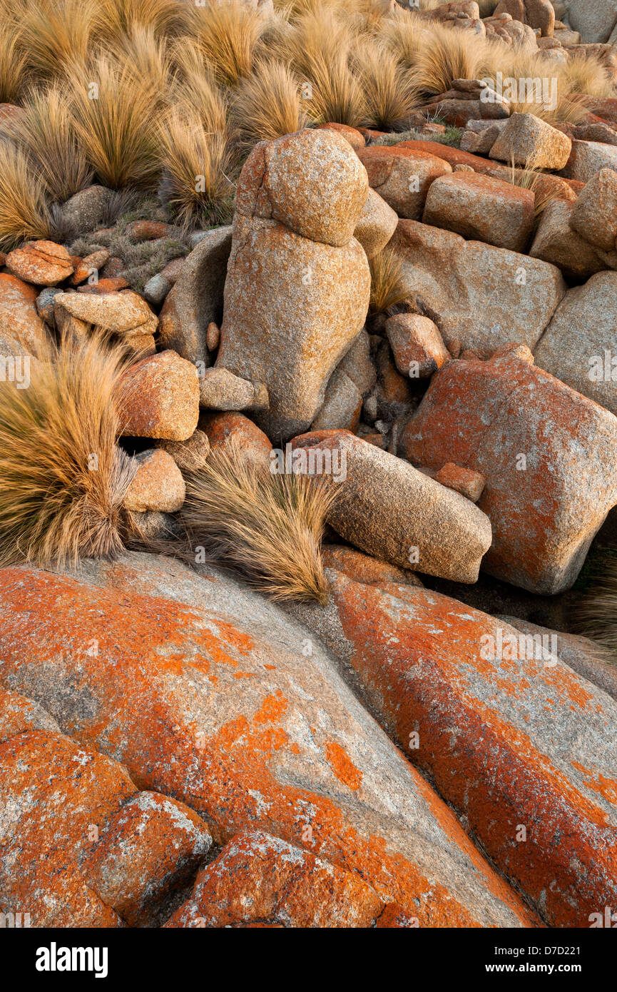 Les rochers de granit couverts de lichen et de touffes d'herbe sur une pointe à Croajingolong National Park Victoria Australie Banque D'Images