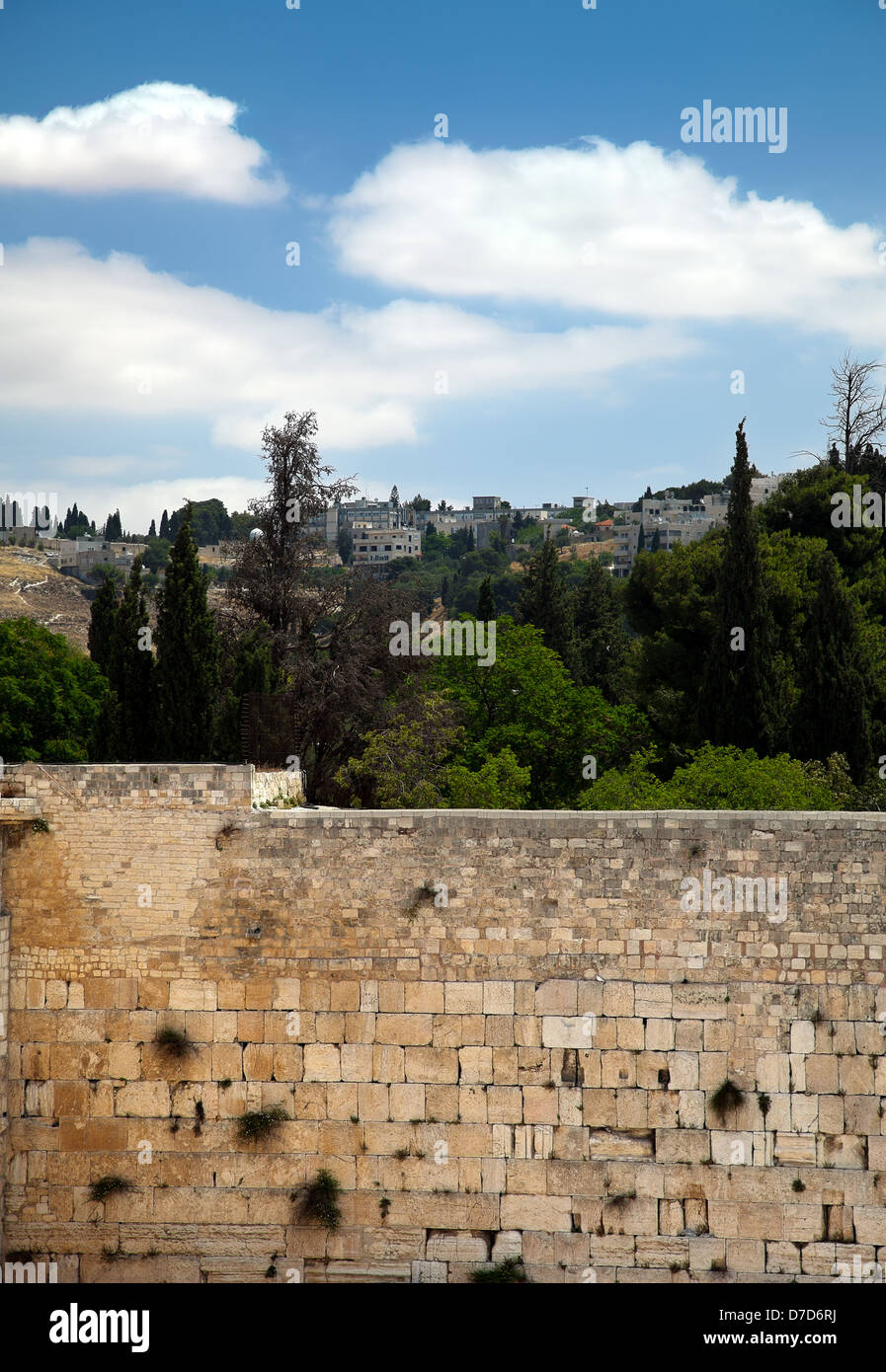 Une vue sur le mur des lamentations dans la vieille ville de Jérusalem et les arbres &bâtiments (et un de l'église) derrière elle. Banque D'Images