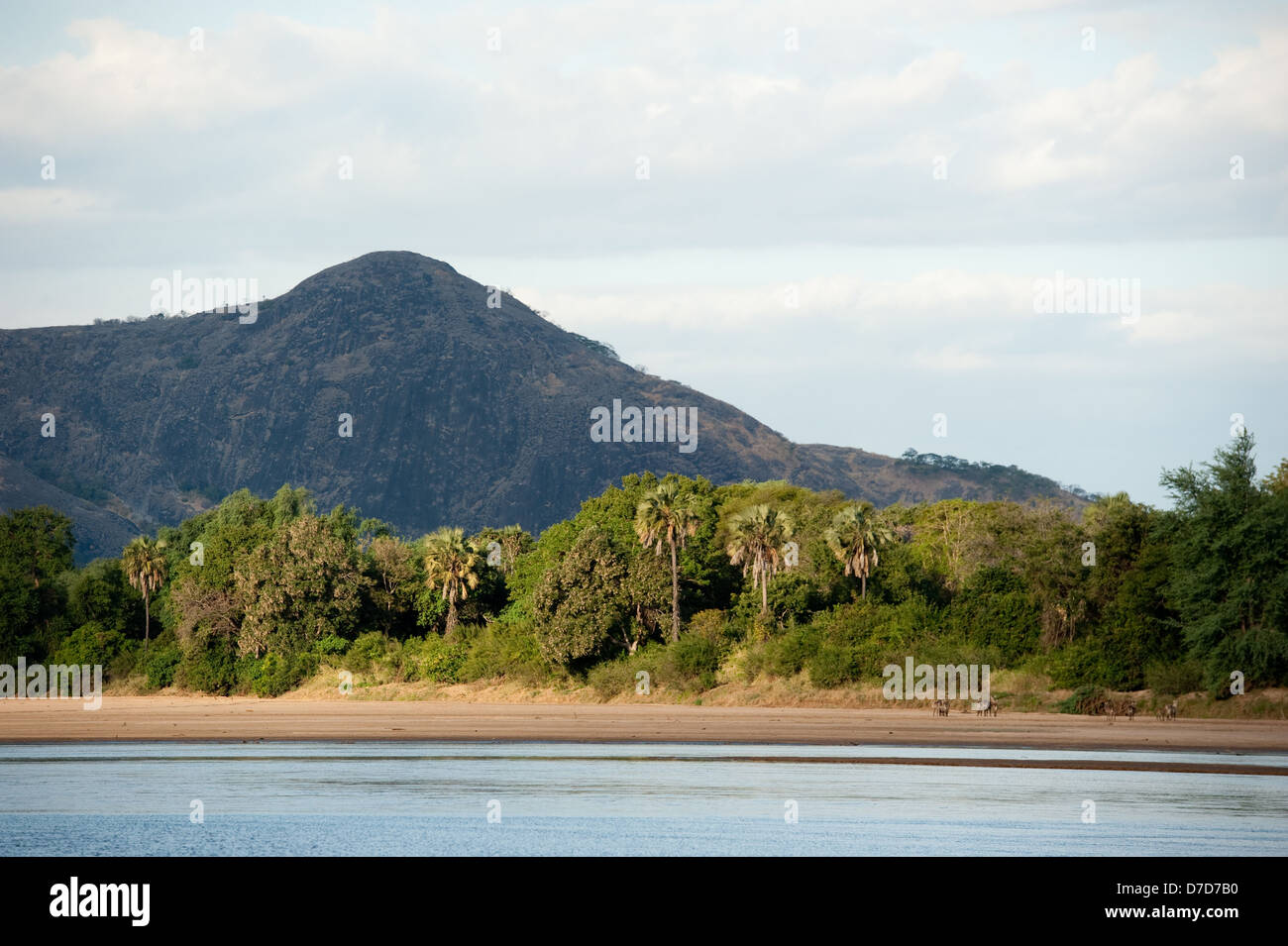 La rivière Lugenda, Niassa Game Reserve, au Mozambique Banque D'Images