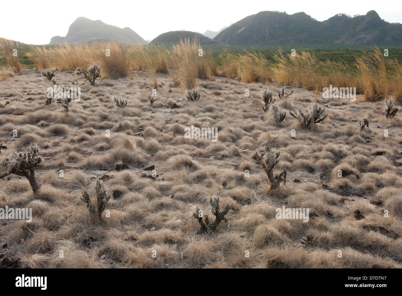 Le paysage accidenté, Niassa Game Reserve, au Mozambique Banque D'Images
