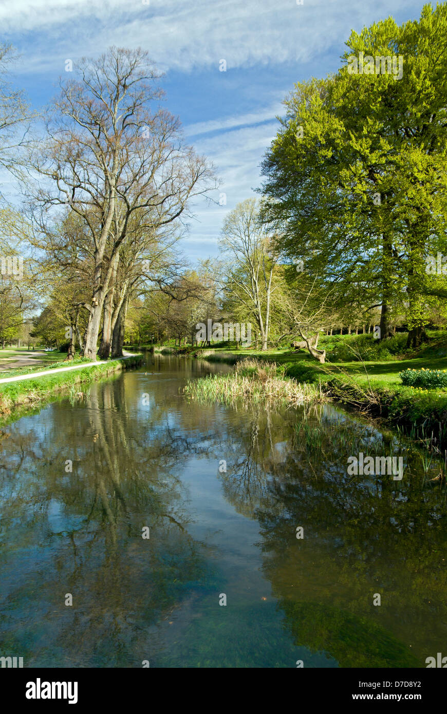 Canal d'alimentation, Bute Park, Cardiff, Pays de Galles du Sud. Banque D'Images