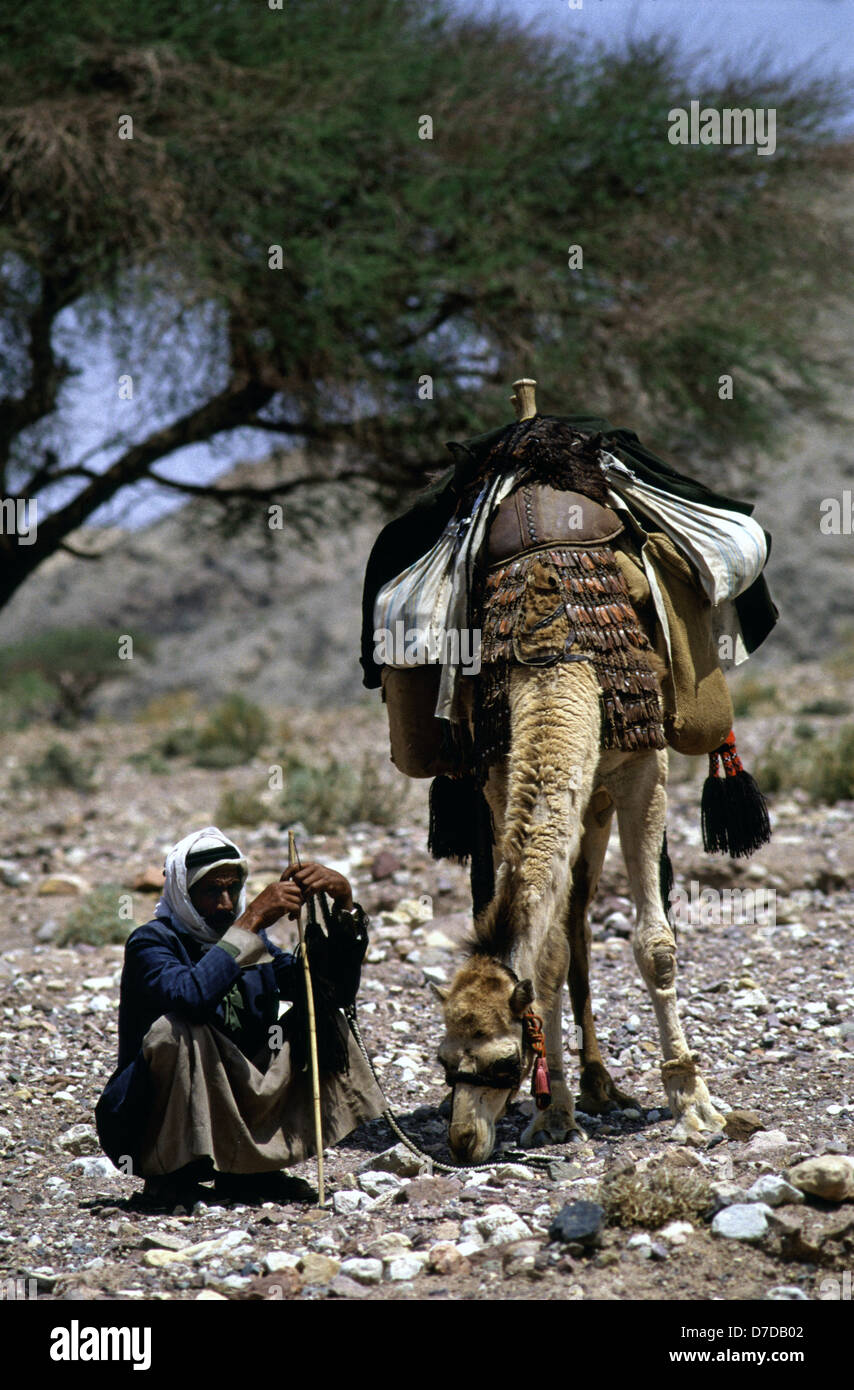 Nomades bédouins membre de la tribu Zawaideh, originaire de les déserts du sud de la Jordanie et de l'ouest de l'Arabie saoudite avec son chameau dans le désert de Wadi Rum connu aussi sous le nom de la vallée de la lune, dans le sud de la Jordanie Banque D'Images