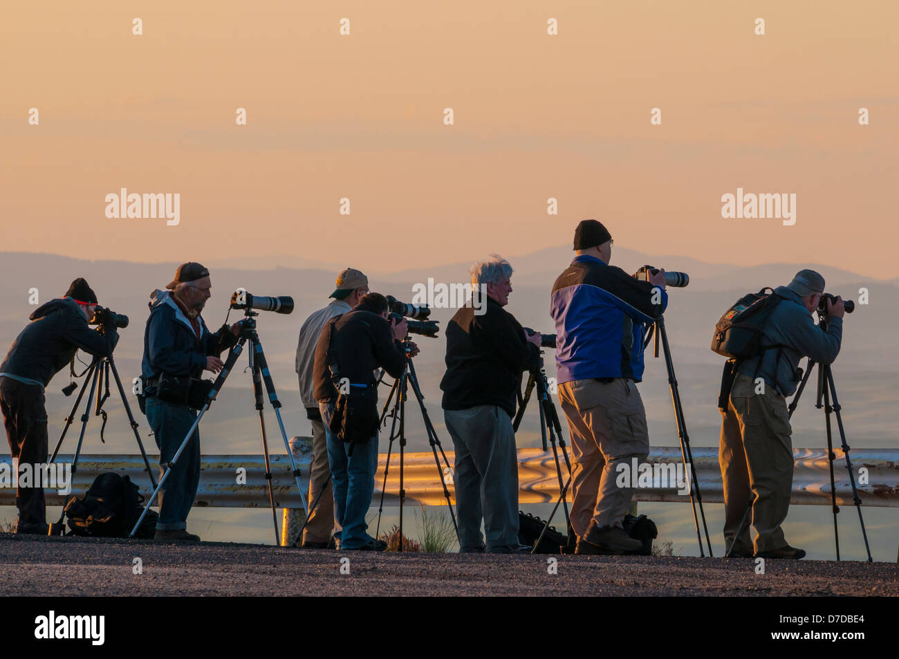 Les participants à l'atelier de photographie sur Steptoe Butte au lever du soleil, blé, pays Palousienne Washington. Banque D'Images