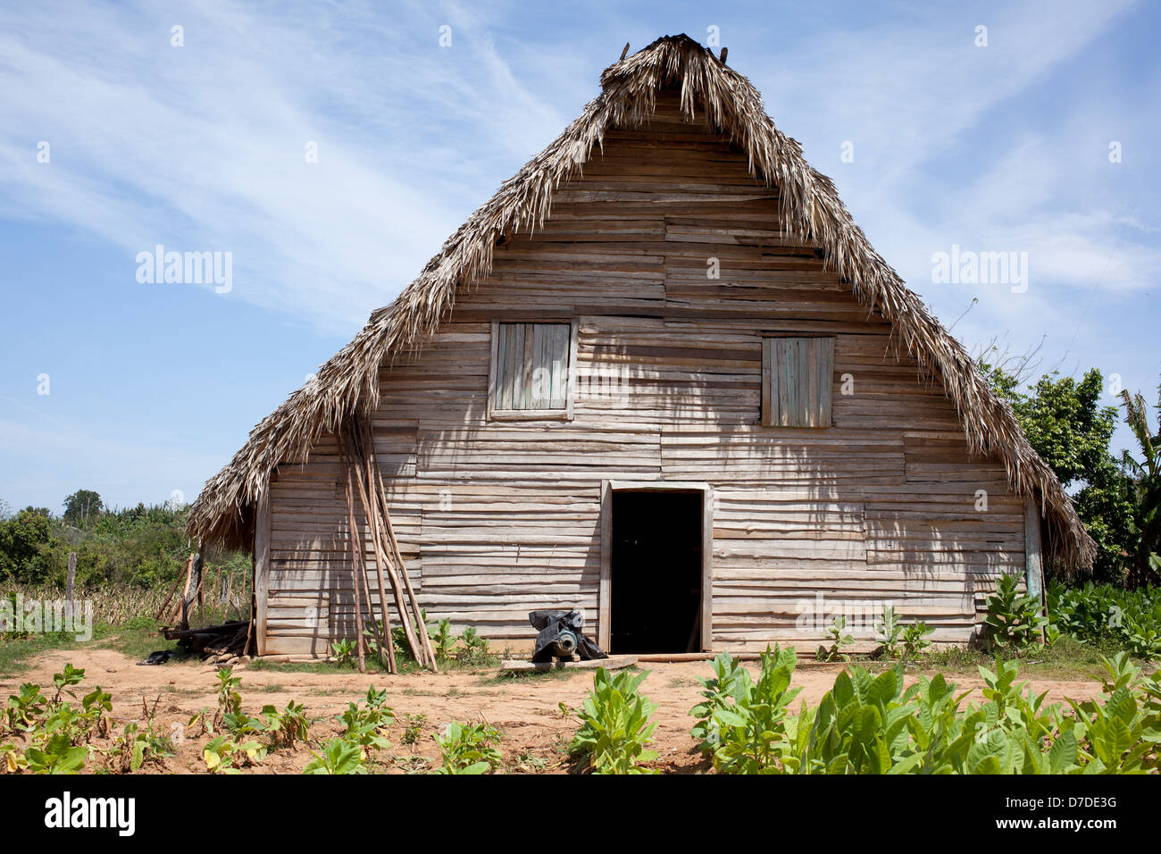 Le séchage du tabac Hut en Vallée de Vinales Banque D'Images