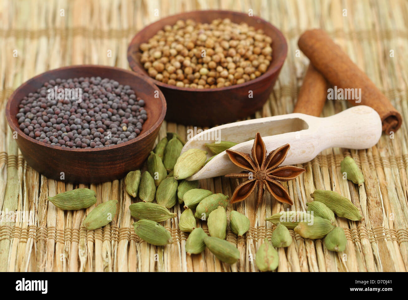 Les graines de cardamome et d'anis étoilé Banque D'Images