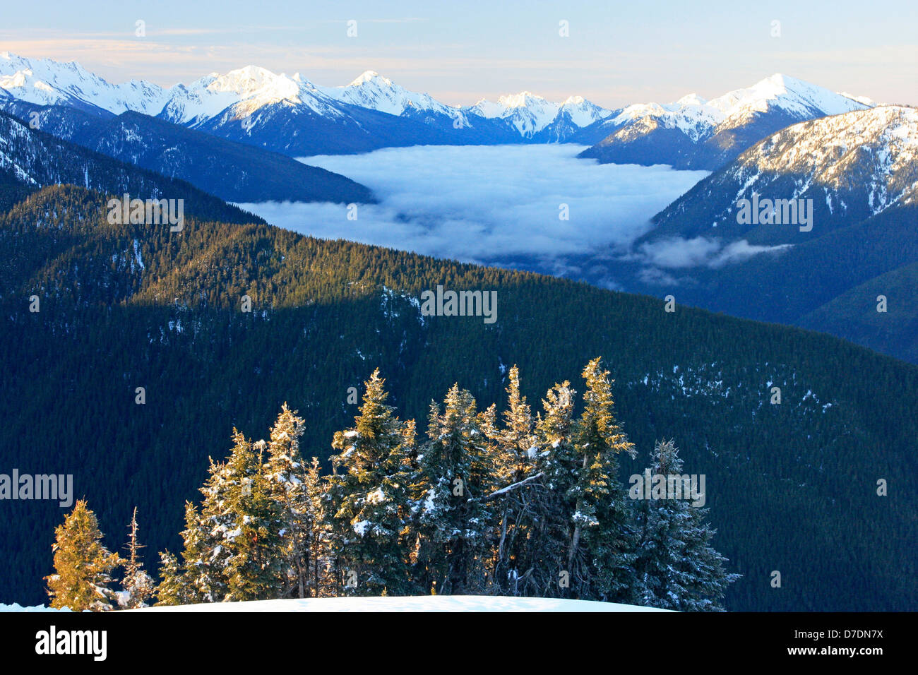 Olimpic montagnes, le Parc National Olympique, Washington, USA Banque D'Images