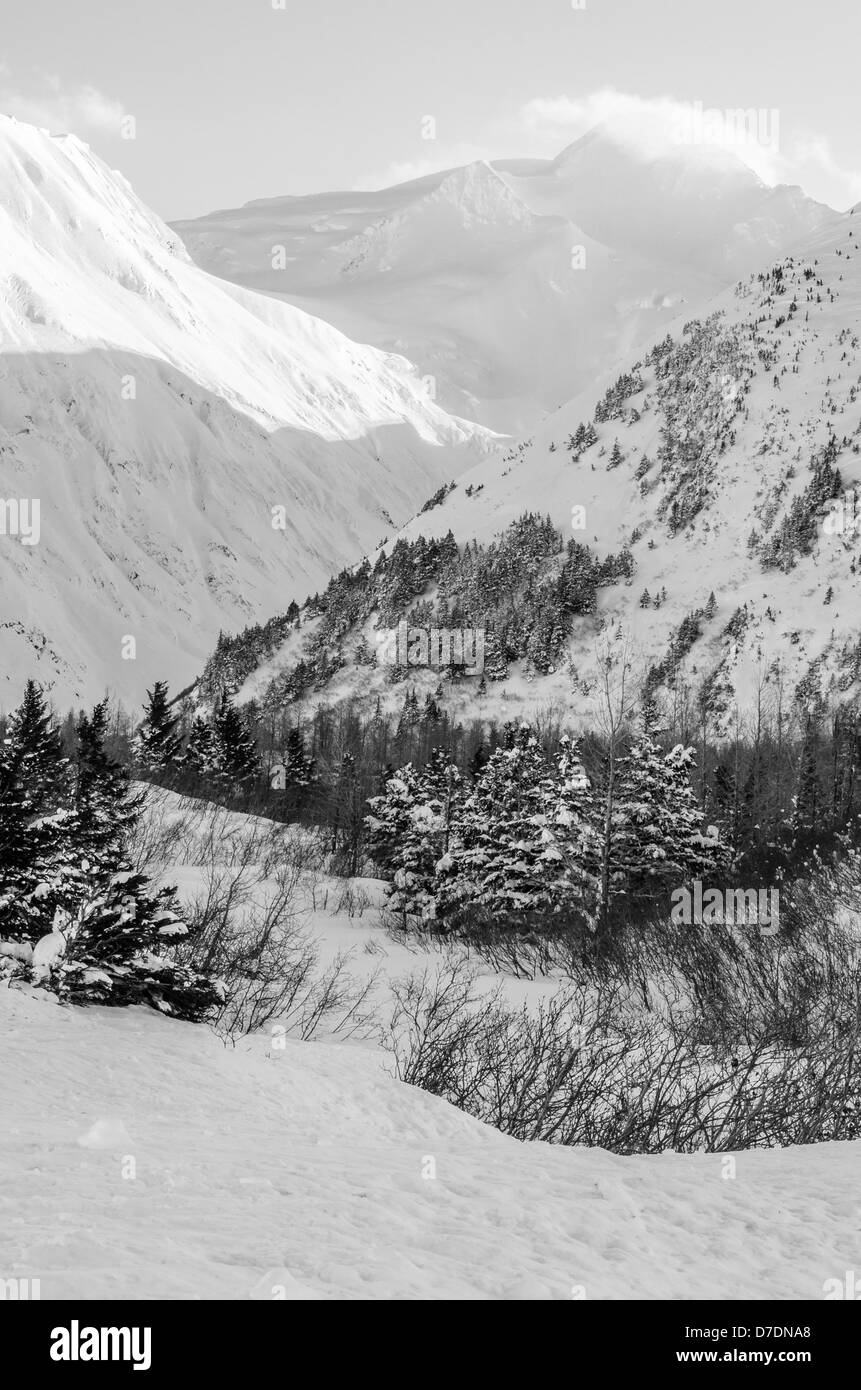 Snowy Mountain vista près d'Anchorage, Alaska Banque D'Images