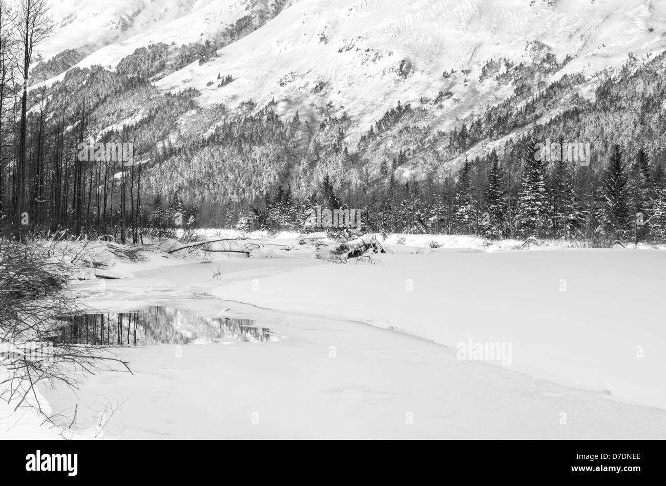 Réflexions de neige dans un lac partiellement gelé en Alaska Banque D'Images