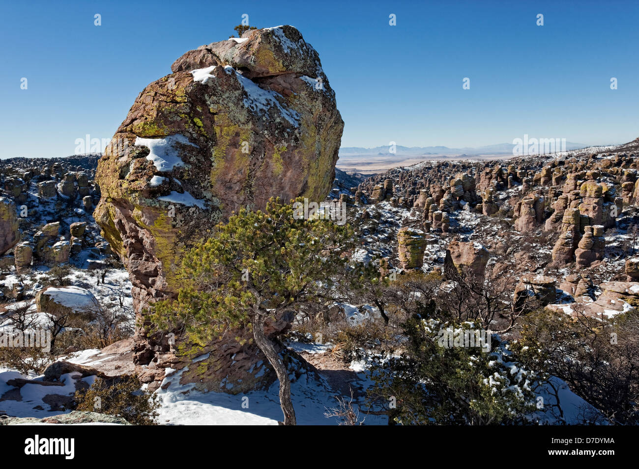 Le Standing-Up terre de roches, les dépôts volcaniques, Rhyolite Chiricahua National Monument, Arizona Banque D'Images