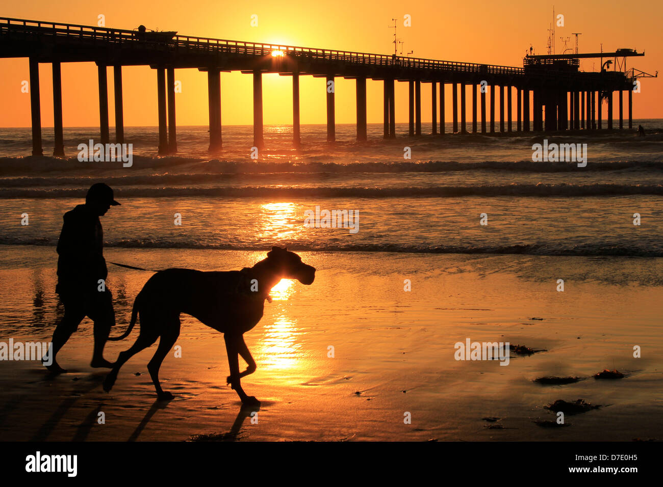 Silhouette de Scripps Institution of Oceanography pier, San Diego, California, USA Banque D'Images