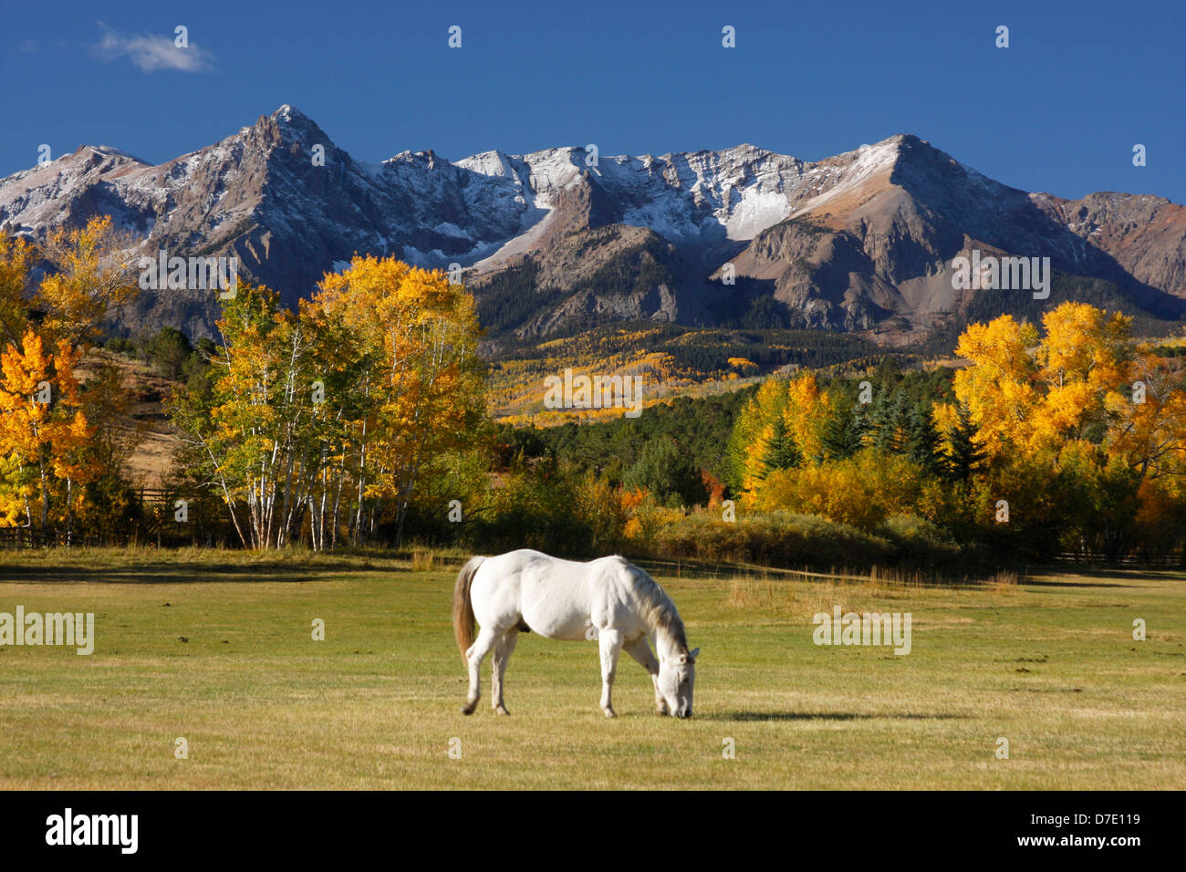 Dallas diviser, Sneffels Range, Colorado, USA Banque D'Images