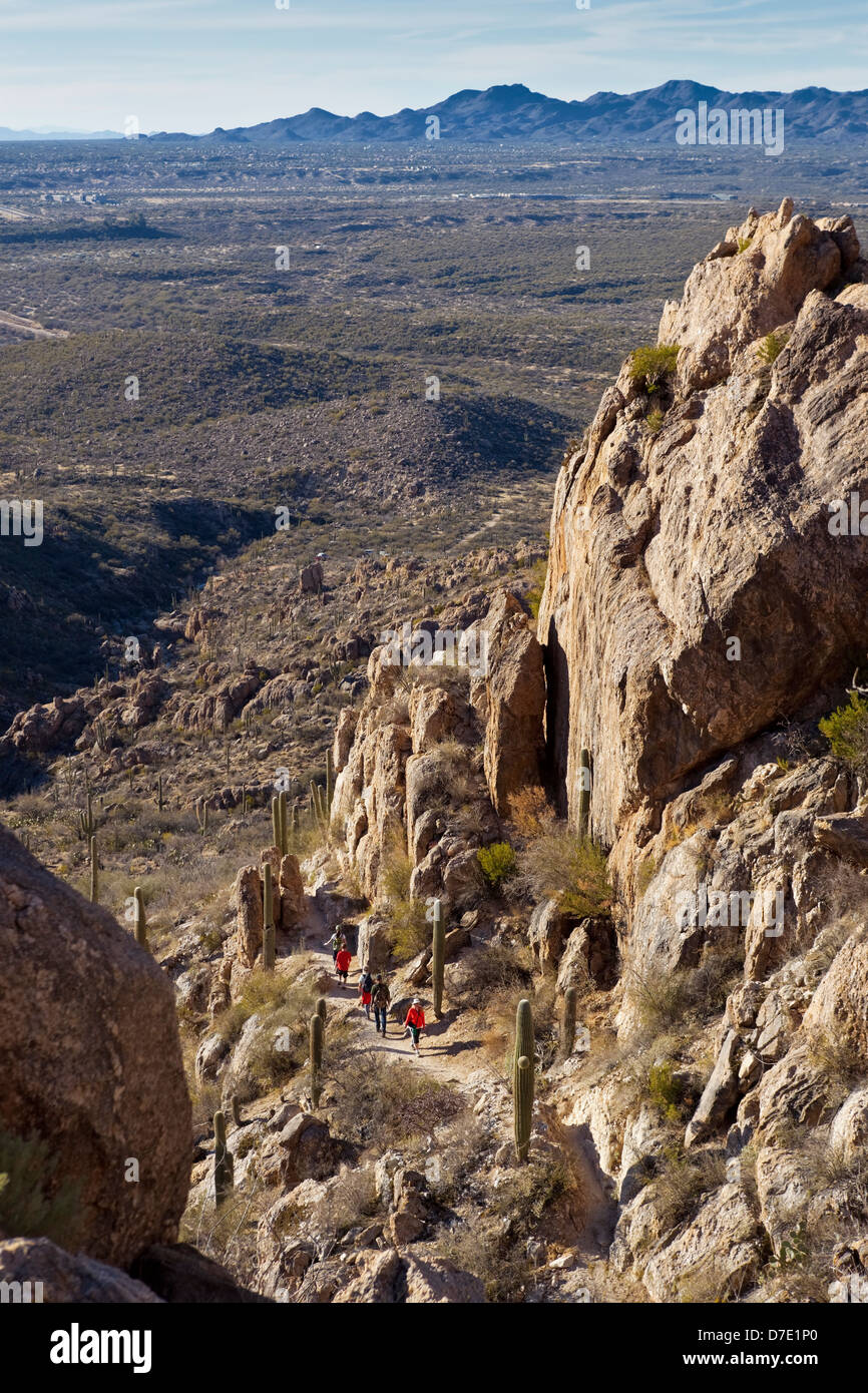 Randonnées le Romero Canyon Trail, Catalina State Park, Tucson, AZ Banque D'Images