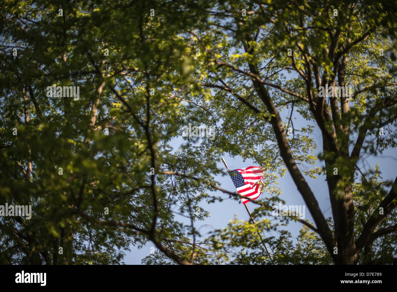 Drapeau commémoratif d'Iwo Jima Arlington Virginie // le drapeau est visible à travers les arbres au Mémorial d'Iwo Jima (anciennement le Mémorial de guerre du corps des Marines) à Arlington, en Virginie, à côté du cimetière national d'Arlington. Le monument a été conçu par Felix de Wledon et est basé sur une photo emblématique d'Associated Press appelée The Raising the Flag on Iwo Jima de Joe Rosenthal. Il a été consacré en 1954. Banque D'Images