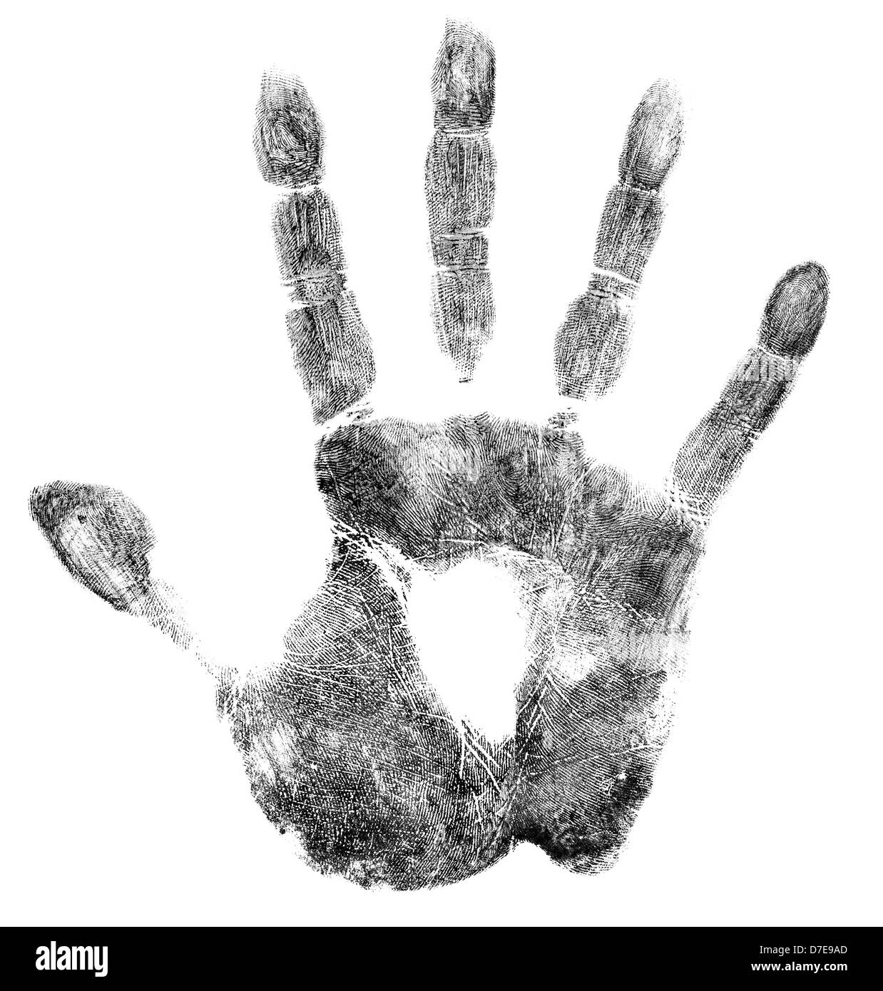 Palm ou hand print isolated on white Banque D'Images