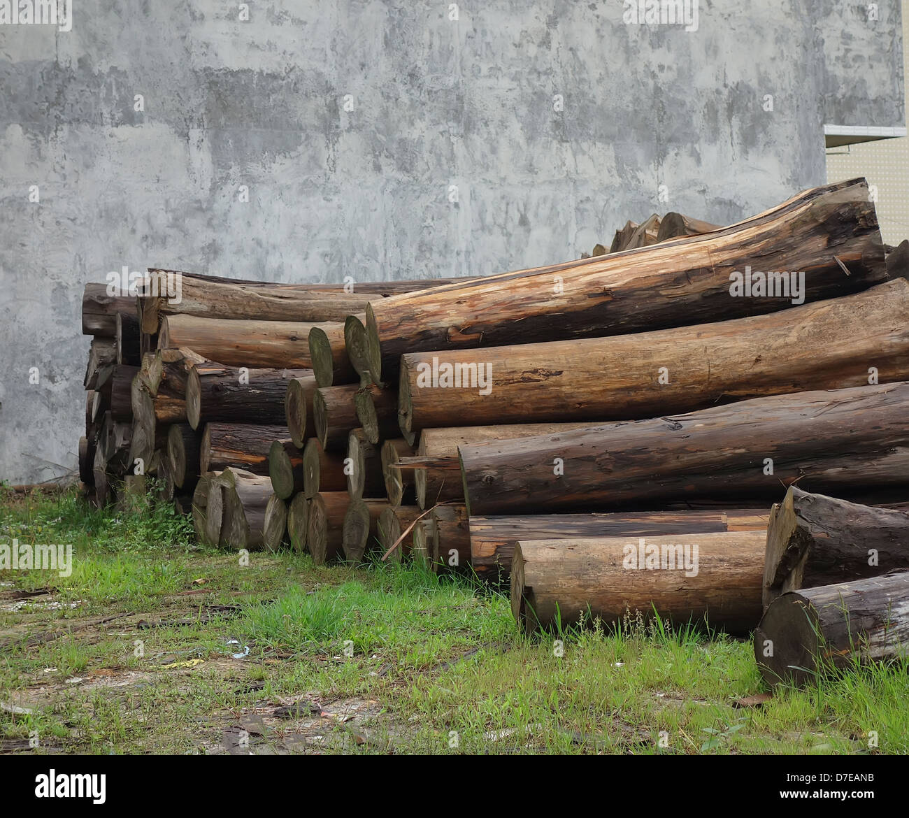 Pile de bois de sciage en usine en bois Banque D'Images