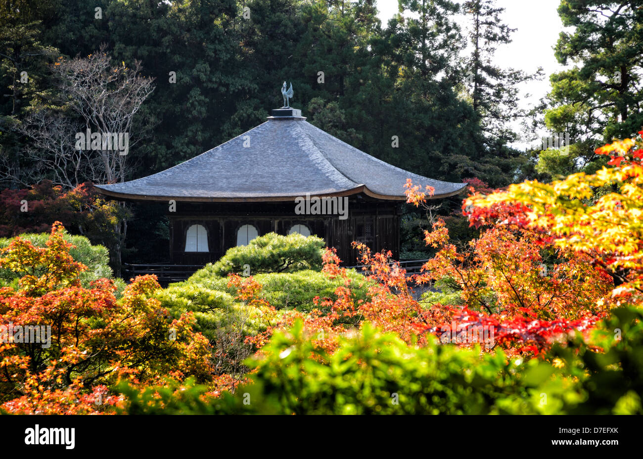 L'automne (automne) arbres colorés entourent Ginkaku-ji (Pavillon d'Temple), l'un des plus célèbres temples de Kyoto, Japon Banque D'Images