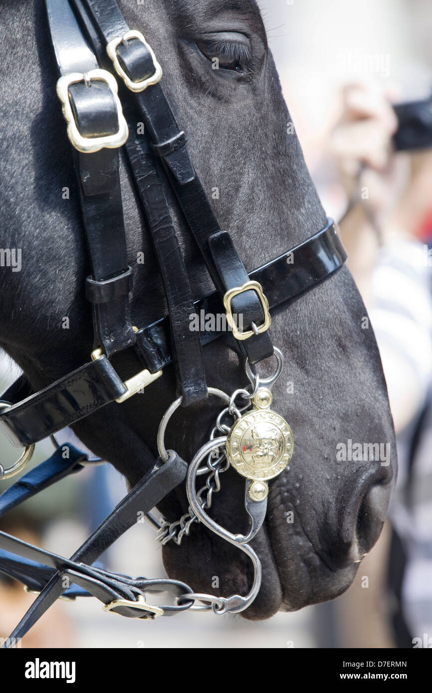 Sentry cheval à Whitehall London Banque D'Images