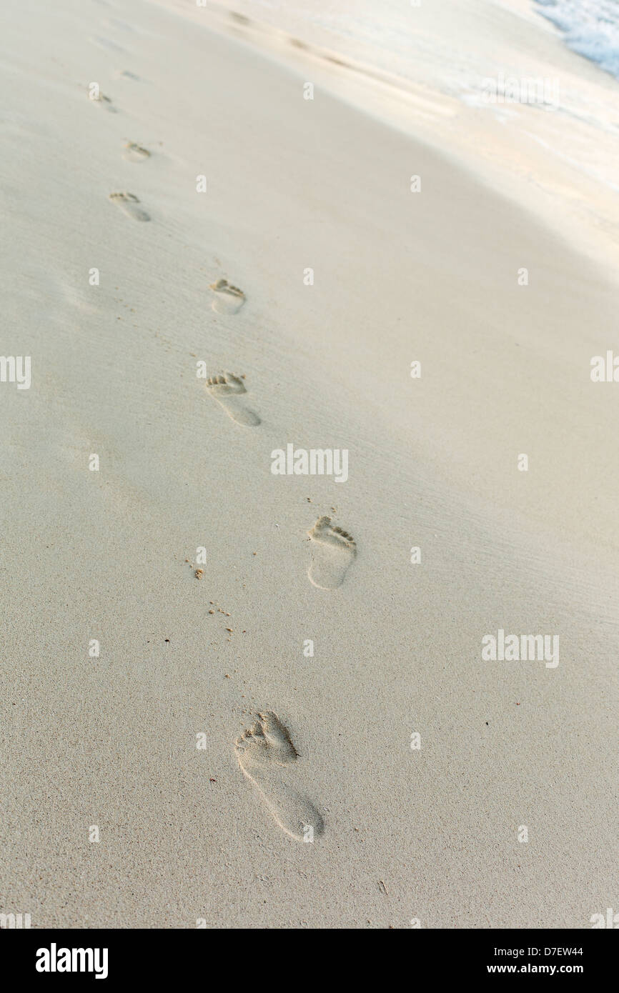 Impressions de traces dans le sable de la plage Banque D'Images