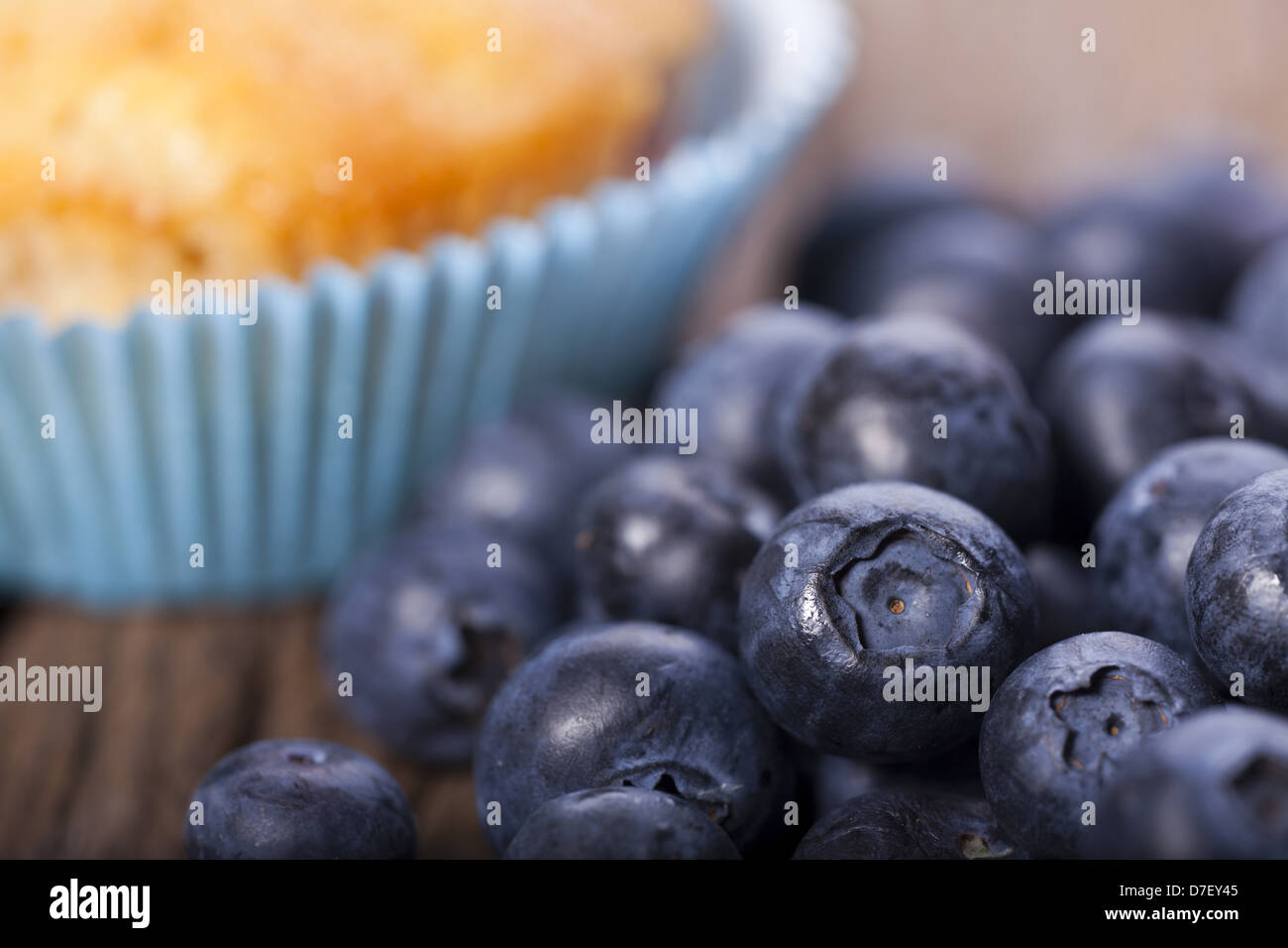 Bleuets frais dans l'avant-plan et d'un muffin aux bleuets se concentrer dans l'arrière-plan Banque D'Images