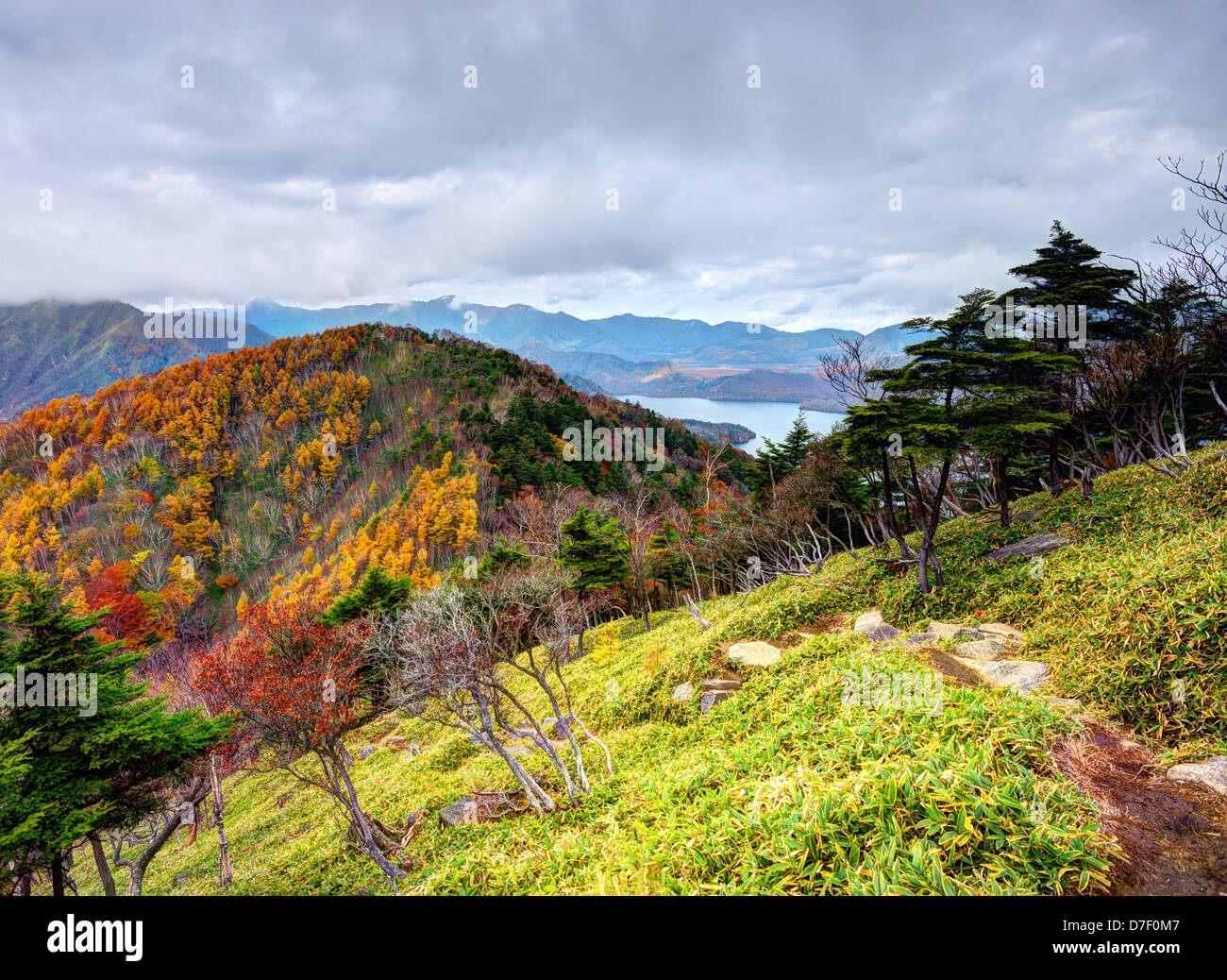Paysage dans le Parc National de Nikko à Fukuoka, au Japon. Banque D'Images