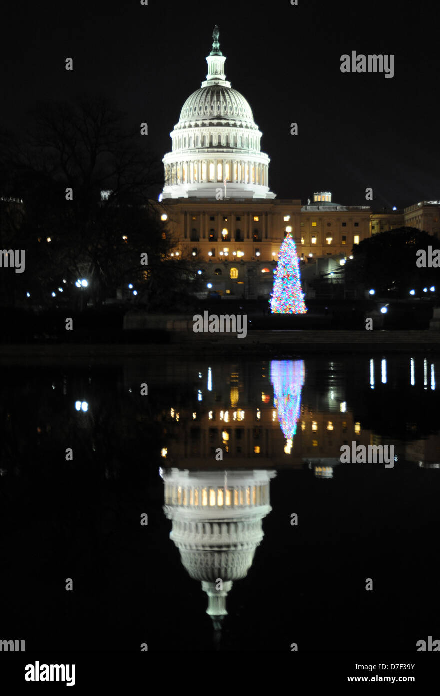 United States Capitol Dome et Ulysses S. Grant Memorial avec arbre de Noël reflète la nuit dans Capitol réflexion extérieure Banque D'Images