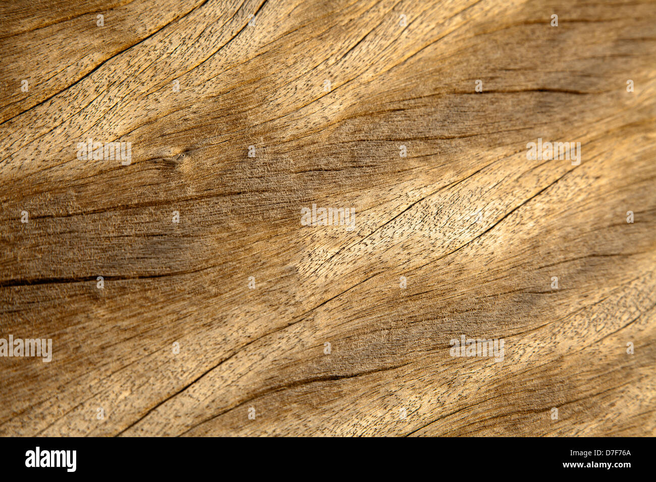 Télévision le bois transformé des petites fissures. L'accent sur fallout droite. Cher Inspecteur : Je suis conscient que qu'une partie seulement de l'image est en focus. Même Banque D'Images