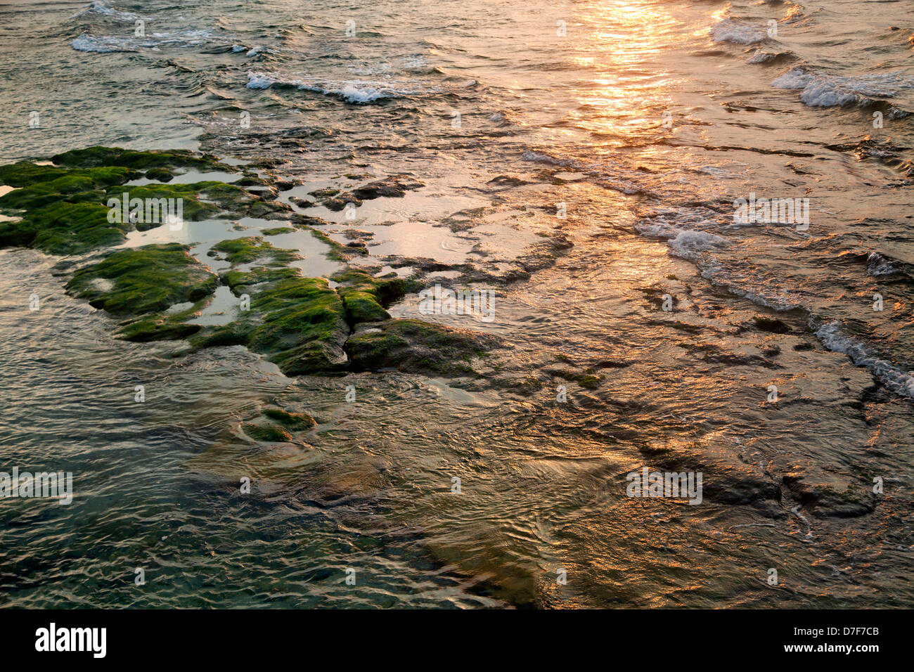 Rivage rocheux à marée haute dans le temps suset. Banque D'Images