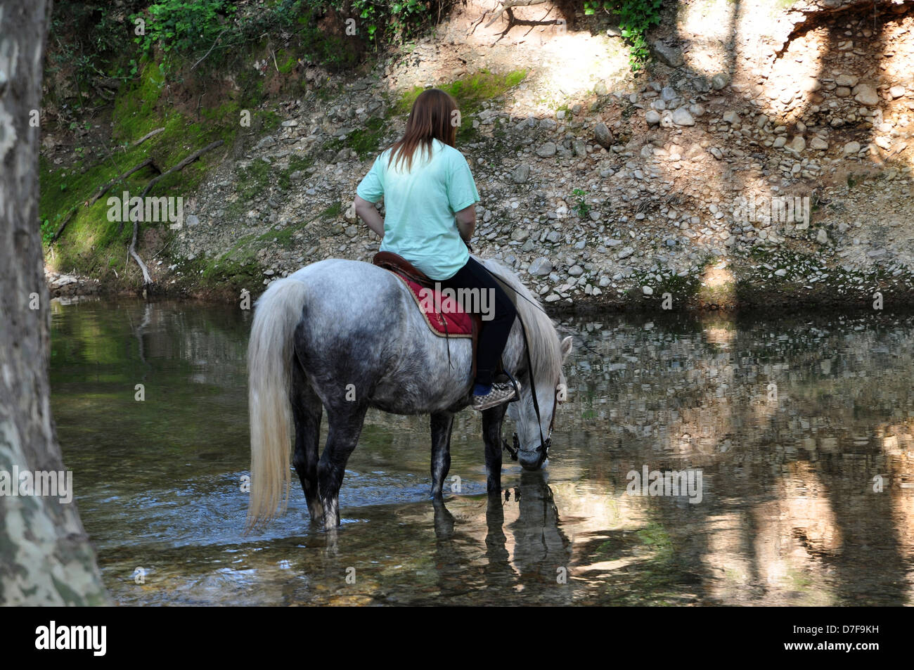 La Riviere Riders Femme avec son cheval Banque de photographies et d’images à haute ...