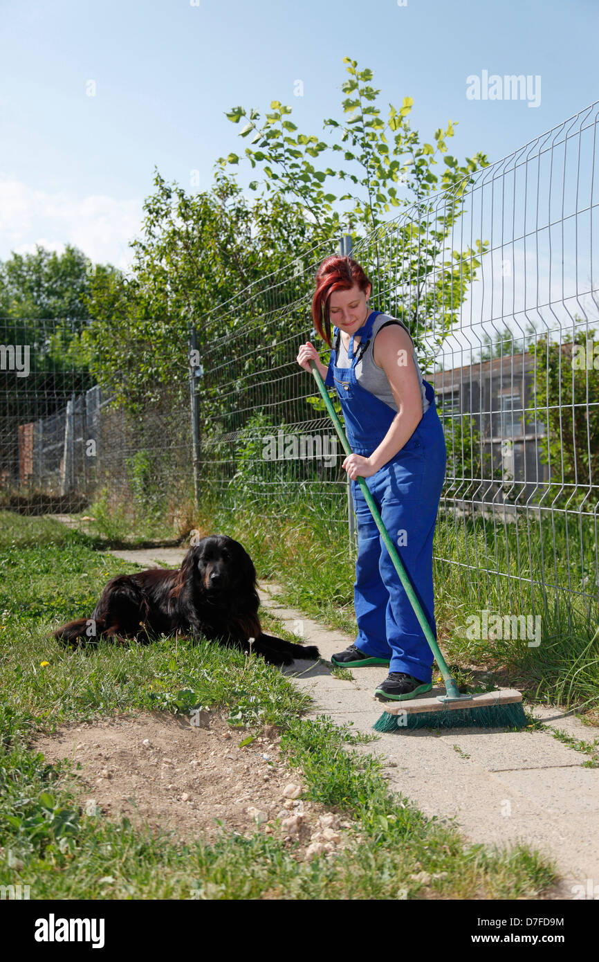 Routine quotidienne à pound Banque D'Images