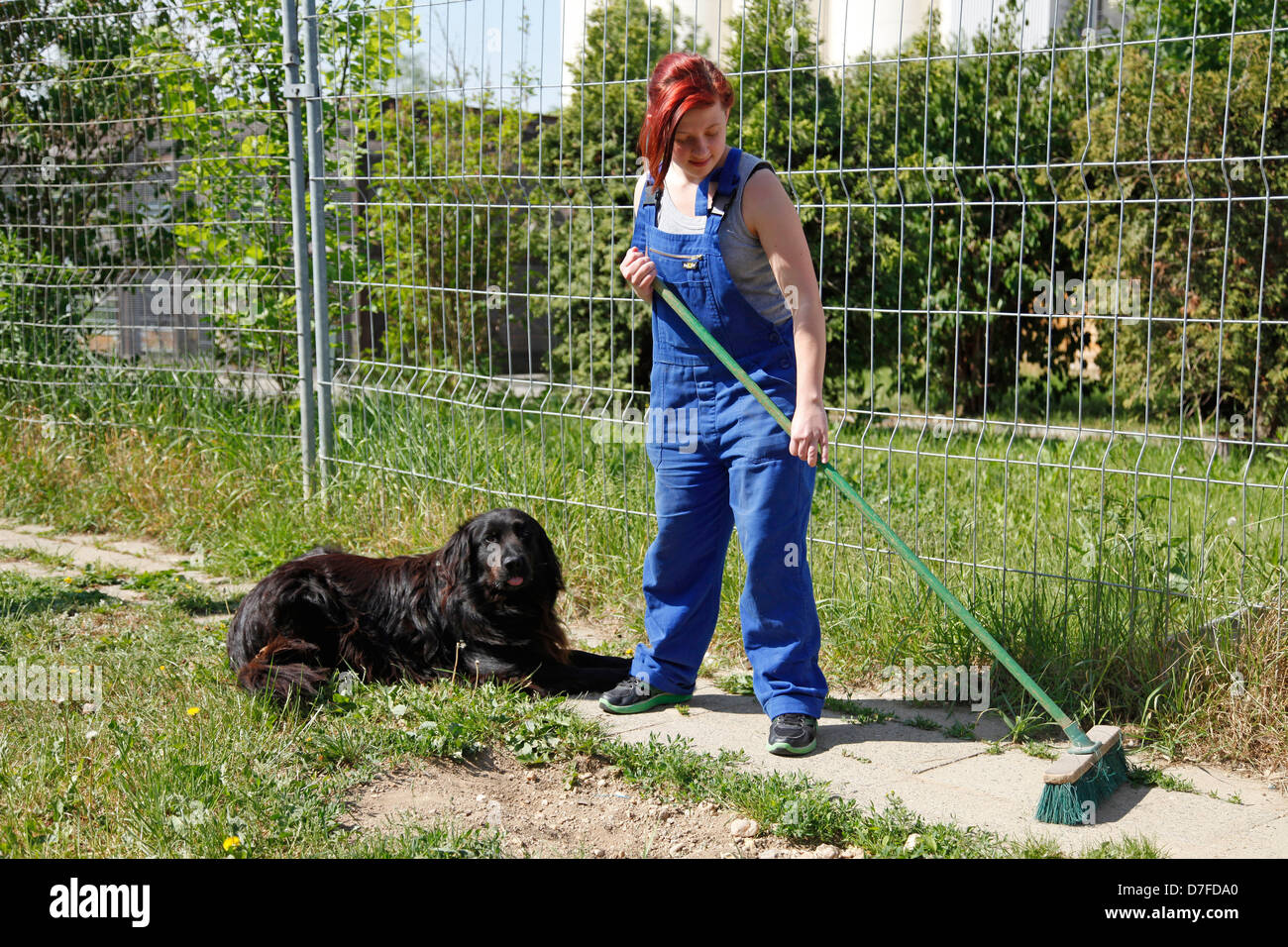 Routine quotidienne à pound Banque D'Images