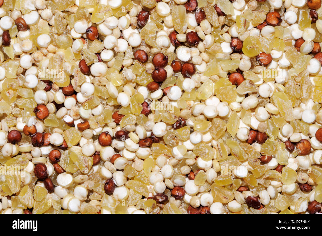Sécher les graines de quinoa rouge et blanc mélangé avec du blé bulgare sur une plaque blanche. Banque D'Images