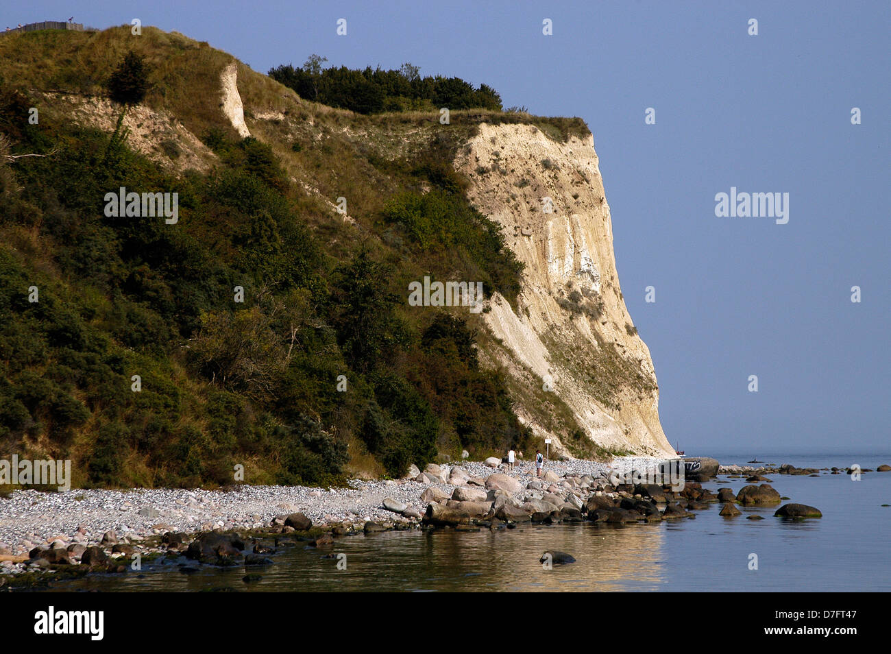 Allemagne, mer Baltique, Rügen, Ruegen, le cap Arkona, chalk rock, Kap Arkona, Kreidefelsen Banque D'Images