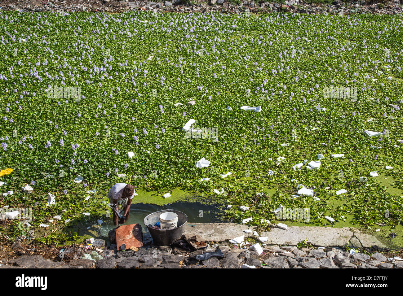 Laver les vêtements dans un étang parsemé de déchets à Delhi, Inde Banque D'Images