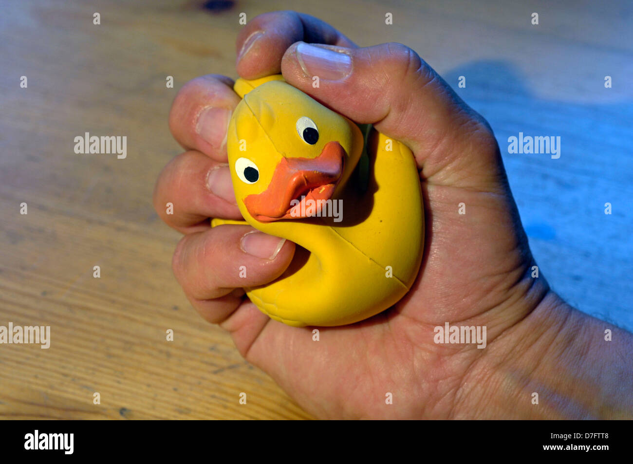 Sous pression, pression, rubberduck Banque D'Images