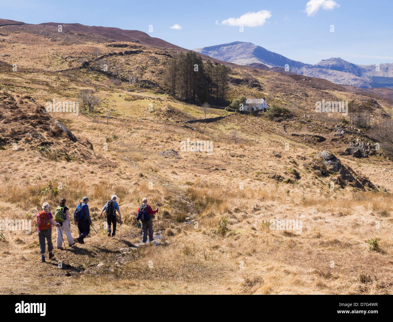 Les promeneurs marchant sur un pays à pied dans la région de collines du Parc National de Snowdonia, Gwynedd, au nord du Pays de Galles, Royaume-Uni Banque D'Images