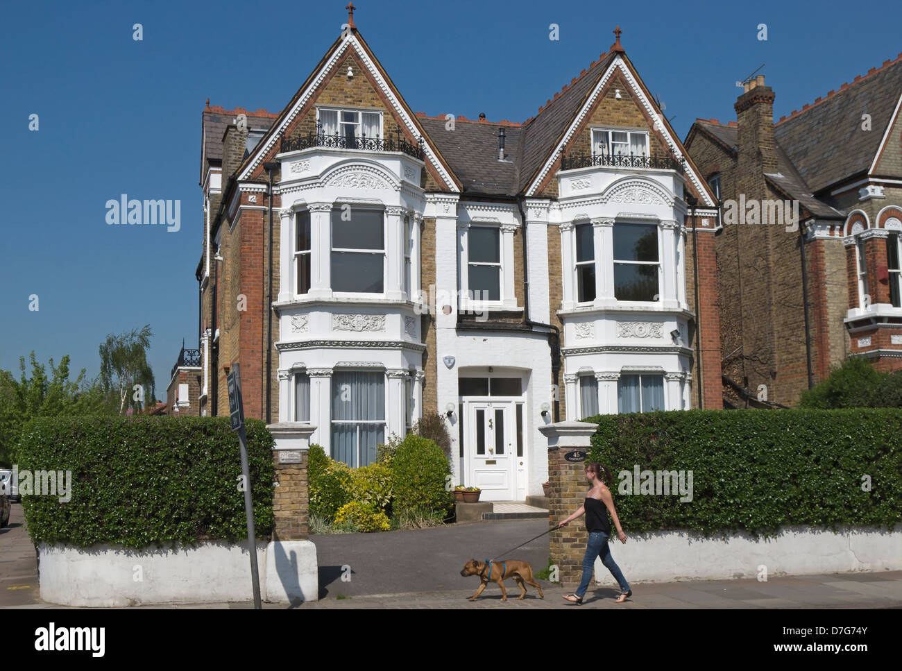 Woman walking with dog passe une grande maison victorienne à Castelnau, le sud-ouest de Londres, Angleterre Banque D'Images
