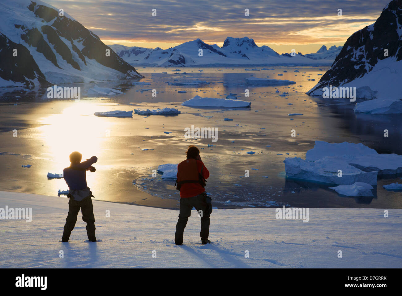 Les visiteurs de l'Île Danco, Antarctique. Banque D'Images