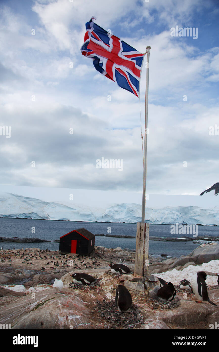 Manchots à l'ancienne base britannique 'A', géré par l'Antarctic Heritage Trust, Port Lockroy, sur l'Île Goudier, Antarctique Banque D'Images