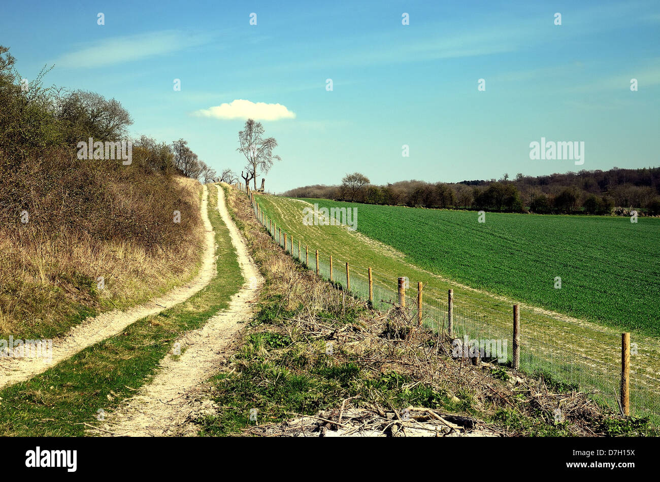Les North Downs près de Abinger Hammer Surrey Banque D'Images